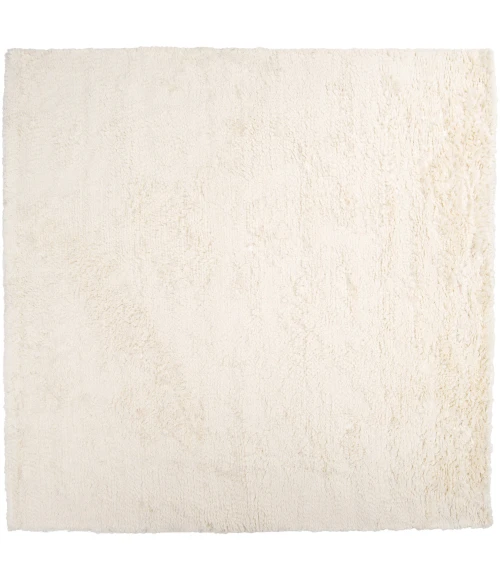 Surya Ashton ASH-1300-8SQUARE rug