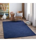 Surya Ashlee ASL-1009-2x3 rug