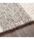 Surya Asos ASS-2300 8  x 10  Rug