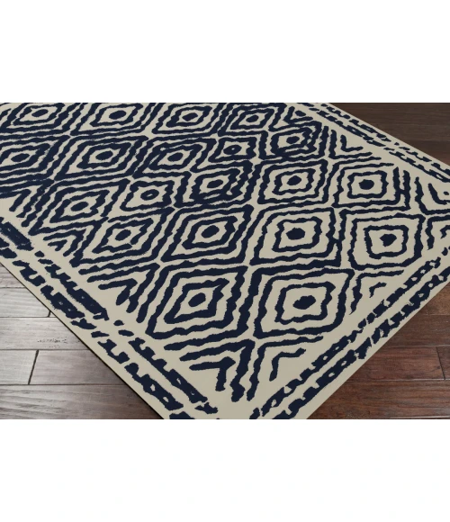 Surya Atlas ATS-1002-2x3 rug