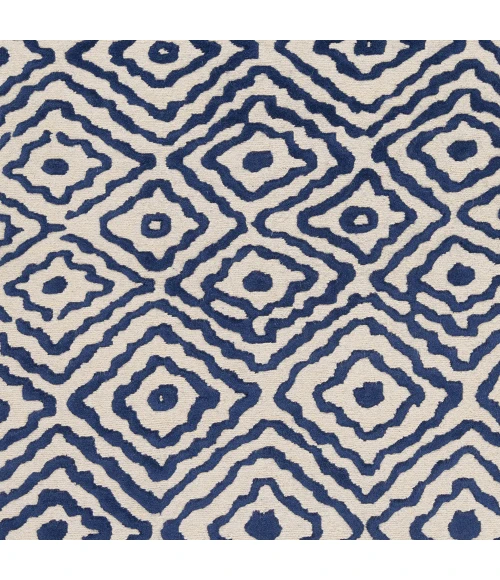 Surya Atlas ATS-1002-2x3 rug