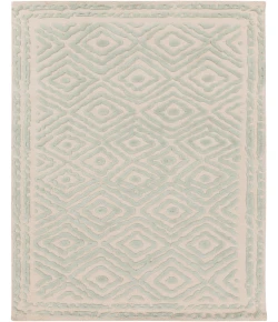 Surya Atlas ATS-1007 3'3" x 5'3" Rectangle Rug