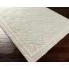 Surya Atlas ATS1007 Sea Foam Beige Area Rug 2 ft. 6 in. X 8 ft. Runner