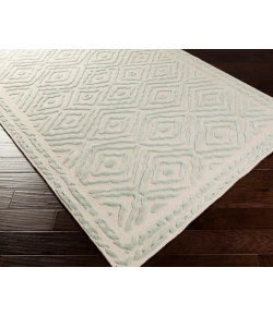 Surya Atlas ATS1007 Sea Foam Beige Area Rug 2 ft. 6 in. X 8 ft. Runner