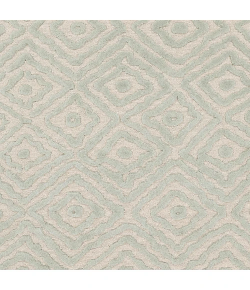 Surya Atlas ATS-1007-26x8 rug