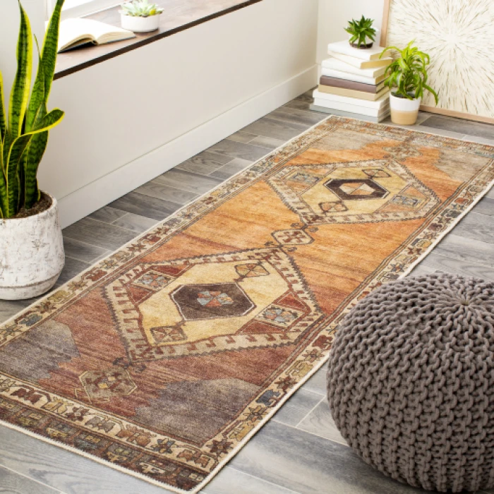 Livabliss Antiquity AUY-2303 2 7 x 10  Rug