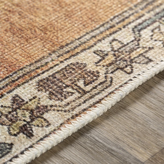 Livabliss Antiquity AUY-2303 2 7 x 10  Rug