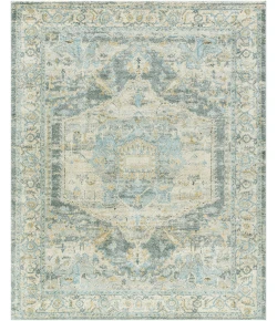 Livabliss Avellino AVL-2303 5 ft.3 in. x 7 ft. Rectangle Rug