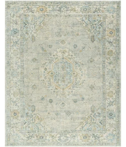 Livabliss Avellino AVL-2316 5 ft.3 in. x 7 ft. Rectangle Rug