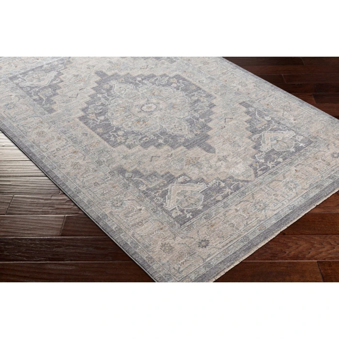 Surya Avant garde AVT-2300 7 10 x 10 3 Rug