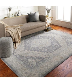 Livabliss Avant Garde AVT2300 Medium Gray Charcoal Area Rug 6 ft. 7 in. X 9 ft. 6 in. Rectangle