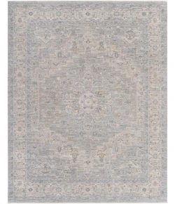 Livabliss Avant Garde AVT2301 Light Gray Medium Gray Area Rug 7 ft. 10 in. X 10 ft. 3 in. Rectangle