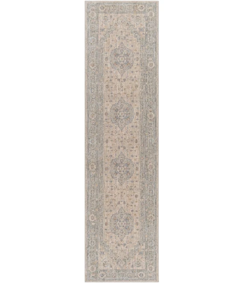 Surya Avant garde AVT-2302 2 7 x 10  Rug