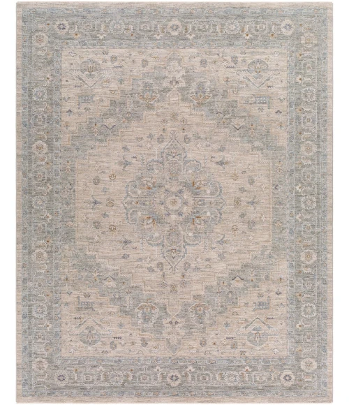 Surya Avant garde AVT-2302 7 10 x 10 3 Rug