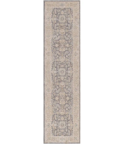 Surya Avant garde AVT-2303 2 7 x 10  Rug