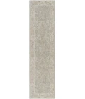 Surya Avant garde AVT-2304 2 7 x 10  Rug