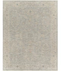 Surya Avant garde AVT-2304 7 10 x 10 3 Rug