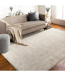 Livabliss Avant Garde AVT2304 Light Gray Medium Gray Area Rug 6 ft. 7 in. X 9 ft. 6 in. Rectangle