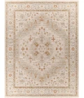 Surya Avant Garde AVT-2313 7'10 x 10'3 Rug