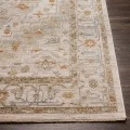 Surya Avant Garde AVT-2313 2' x 3' Rug