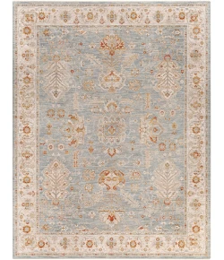 Livabliss Avant Garde AVT2318 Denim Sage Area Rug 7 ft. 10 in. X 10 ft. 3 in. Rectangle