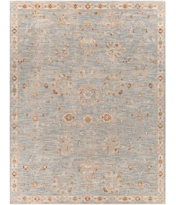 Livabliss Avant Garde AVT2322 Denim Pale Blue Area Rug 7 ft. 10 in. X 10 ft. 3 in. Rectangle