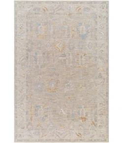 LIVABLISS Avant Garde Charcoal AVT-2379 2ft.7in. x 3ft.11in. Rect. Rug