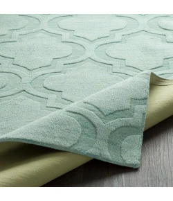 Surya Central Park AWHP4011 Mint Area Rug 2 ft. 3 in. X 10 ft. Runner
