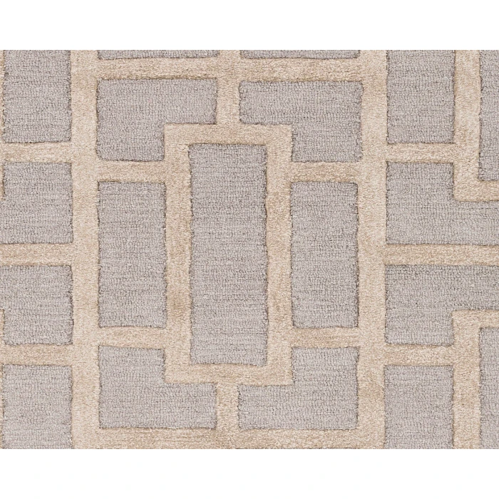 Artistic Weavers Arise AWRS2141-2310 Rug