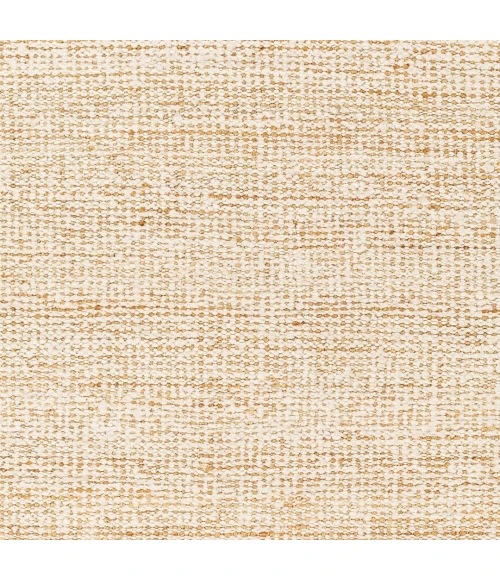 Surya Aylin Rug AYI2300