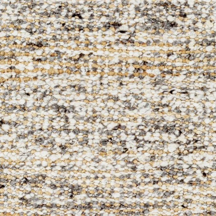 Surya Aylin Rug AYI2302