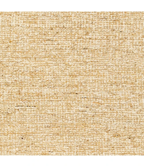 Surya Aylin Rug AYI2303