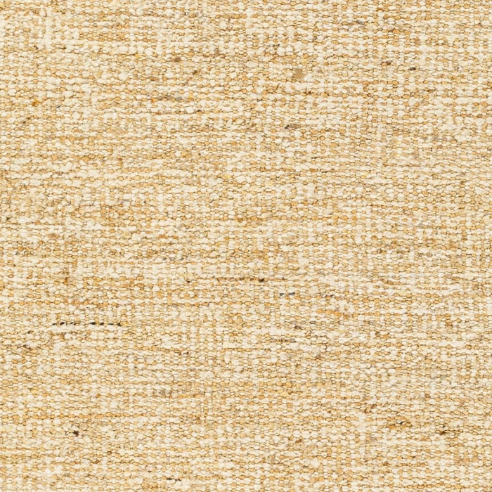 Surya Aylin Rug AYI2303