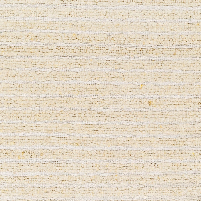 Surya Anya Rug AYY2300