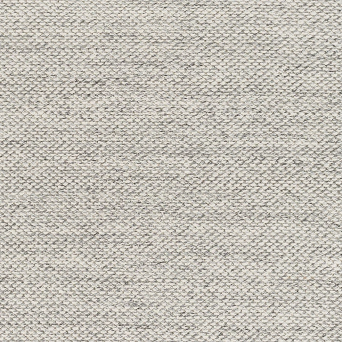 Surya Azalea AZA-2314 2  x 3  Rug