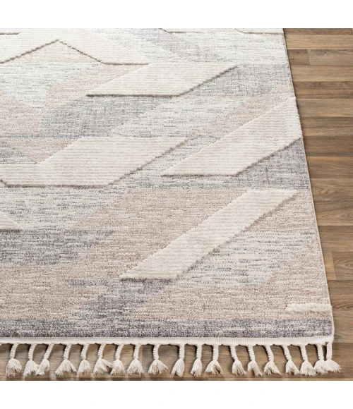 Livabliss Azilal Gray AZI-2303 2 ft. X 2 ft. 11 in. Rect. Rug