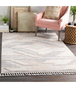 Livabliss Azilal Gray AZI-2303 2 ft. X 2 ft. 11 in. Rect. Rug