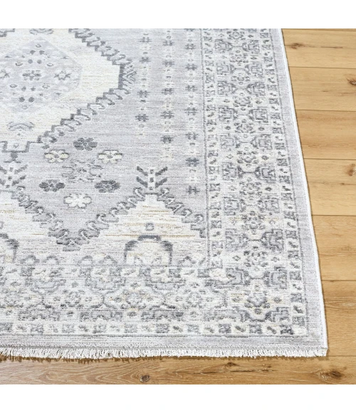 Livabliss Azhar Pewter AZR-2300 7 ft. 10 in. X 10 ft. Rect. Rug