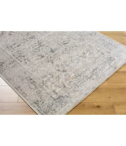 Livabliss Azhar Pewter AZR-2302 5 ft. 3 in. X 7 ft. Rect. Rug