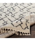 Livabliss Berber Shag BBE-2301-53x73 rug