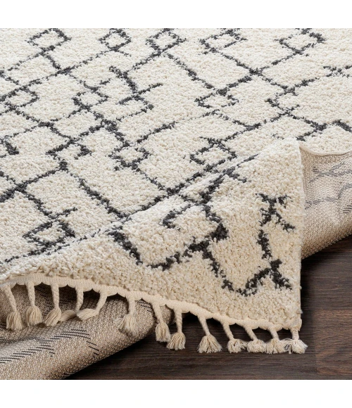 Livabliss Berber Shag BBE-2301-53x73 rug