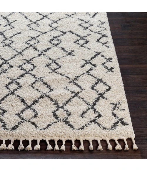 Livabliss Berber Shag BBE-2301-53x73 rug