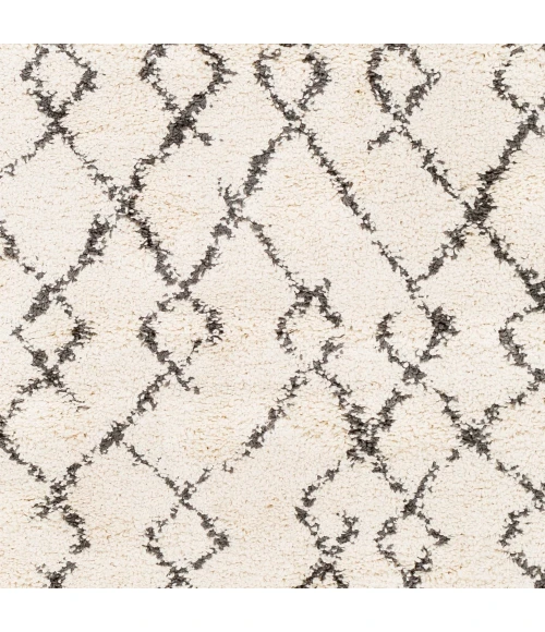Livabliss Berber Shag BBE-2301-53x73 rug
