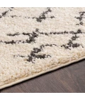Livabliss Berber Shag BBE-2301-53x73 rug