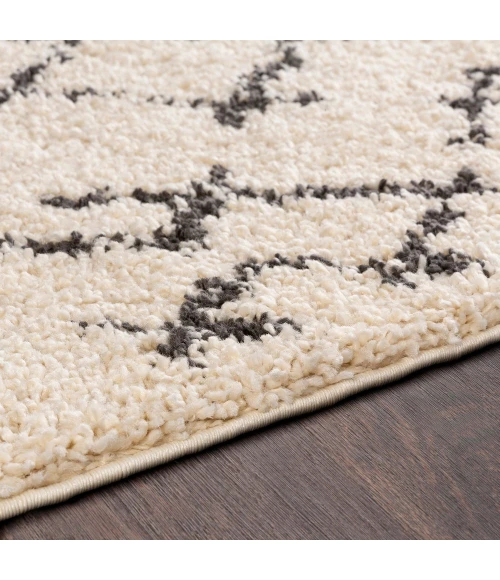 Livabliss Berber Shag BBE-2301-53x73 rug