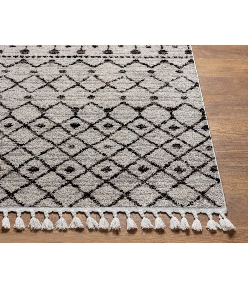 Blackburn BBN-2300 2'7" x 7'3" Machine Woven Rug