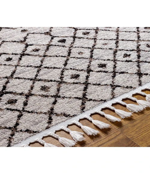 Blackburn BBN-2300 2'7" x 7'3" Machine Woven Rug