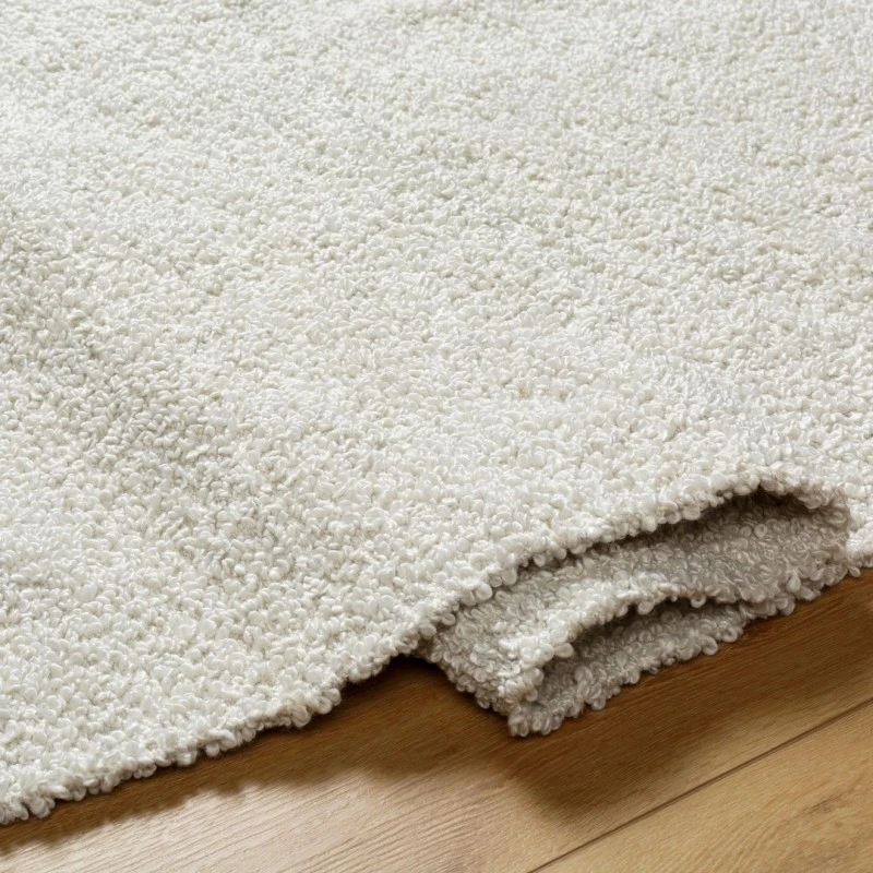 Surya Boculette Rug BCT2300