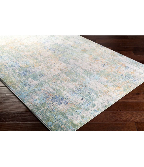 Livabliss Bodrum BDM-2329 8 10 x 12  Rug