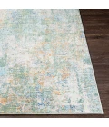 Livabliss Bodrum BDM-2329 8 10 x 12  Rug